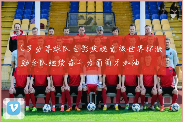 C罗分享球队合影庆祝晋级世界杯激励全队继续奋斗为葡萄牙加油