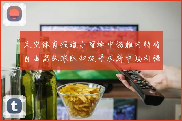 天空体育报道小蜜蜂中场雅内特将自由离队球队积极寻求新中场补强