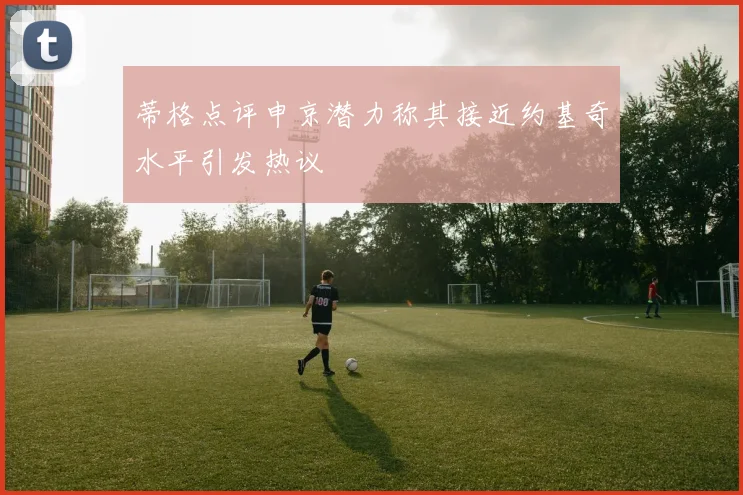 蒂格点评申京潜力称其接近约基奇水平引发热议